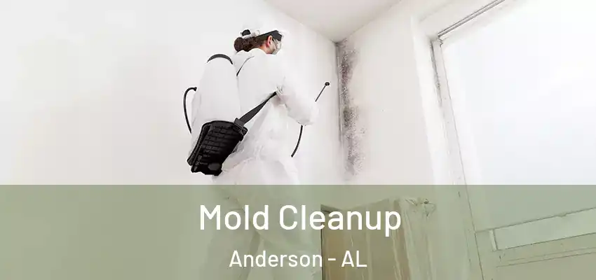  Mold Cleanup Anderson - AL