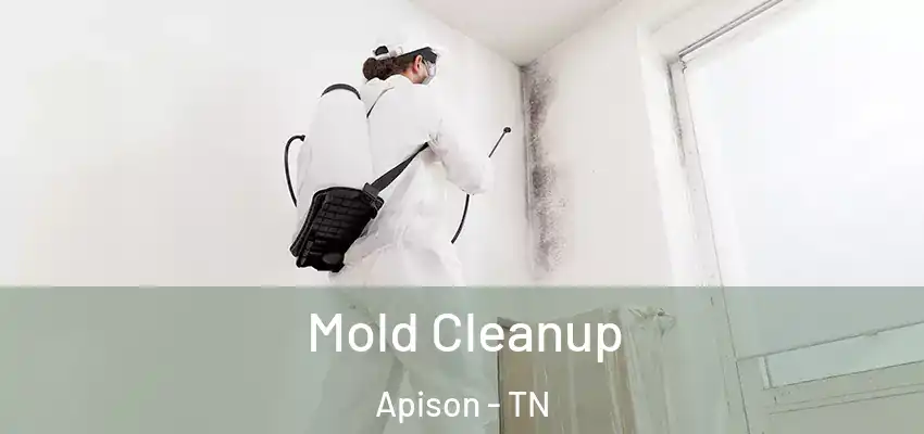  Mold Cleanup Apison - TN