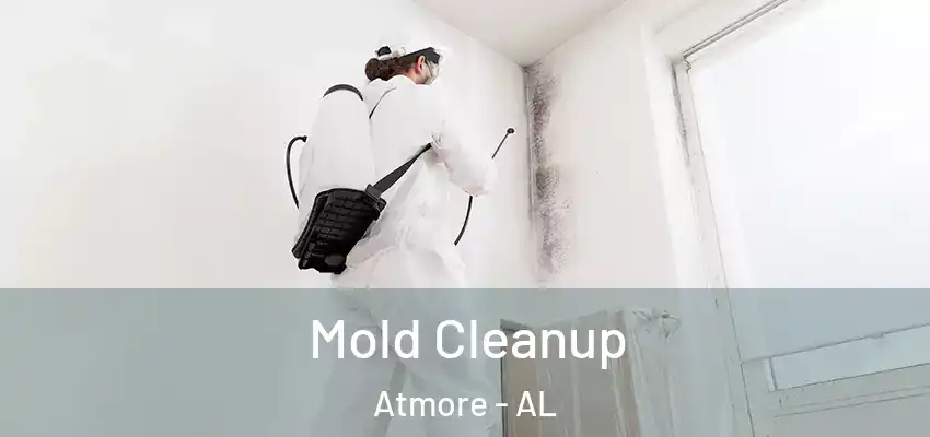  Mold Cleanup Atmore - AL
