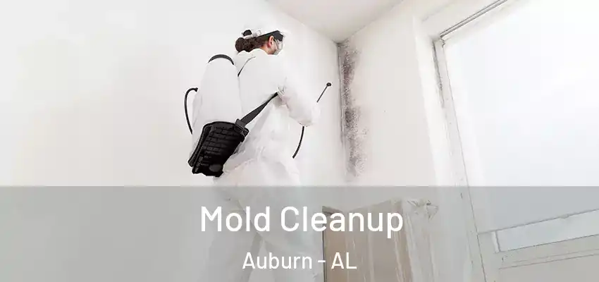 Mold Cleanup Auburn - AL