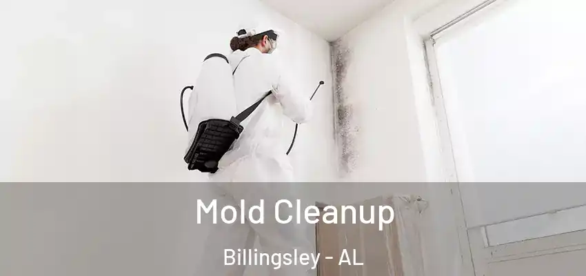  Mold Cleanup Billingsley - AL