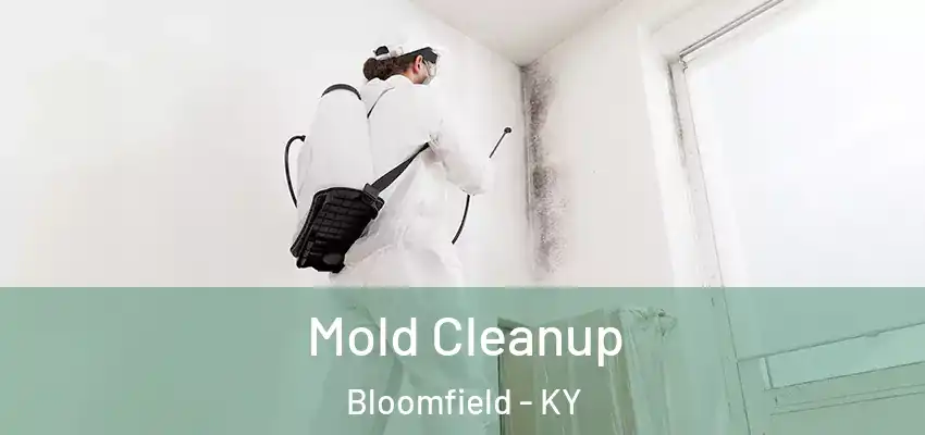Mold Cleanup Bloomfield - KY