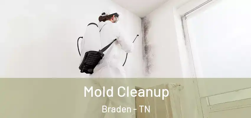  Mold Cleanup Braden - TN
