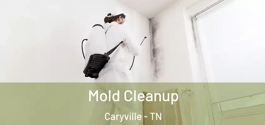  Mold Cleanup Caryville - TN