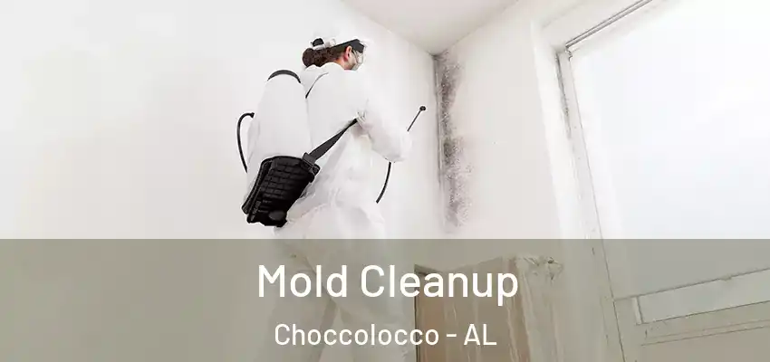 Mold Cleanup Choccolocco - AL