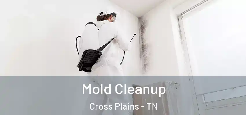 Mold Cleanup Cross Plains - TN