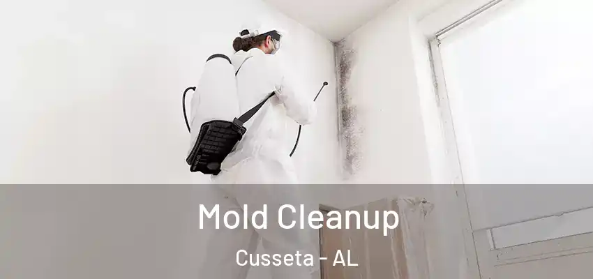 Mold Cleanup Cusseta - AL