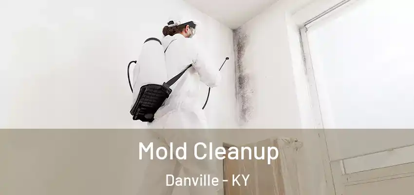 Mold Cleanup Danville - KY