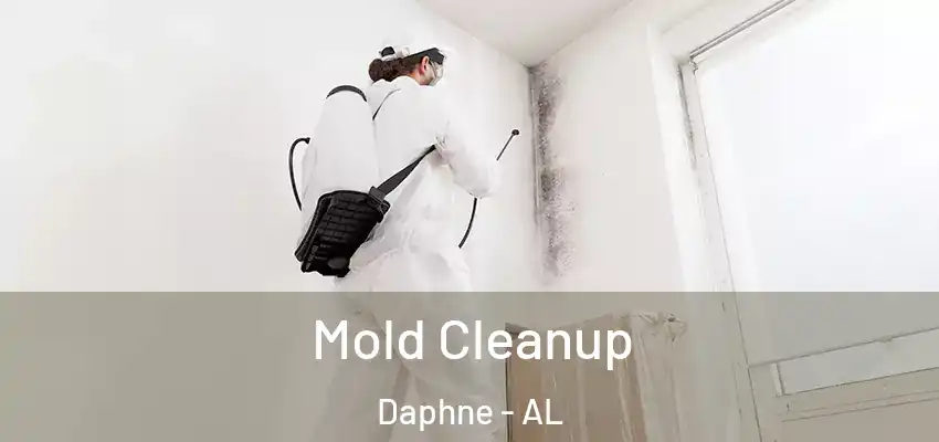  Mold Cleanup Daphne - AL