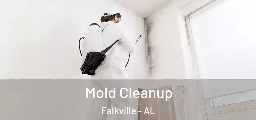  Mold Cleanup Falkville - AL