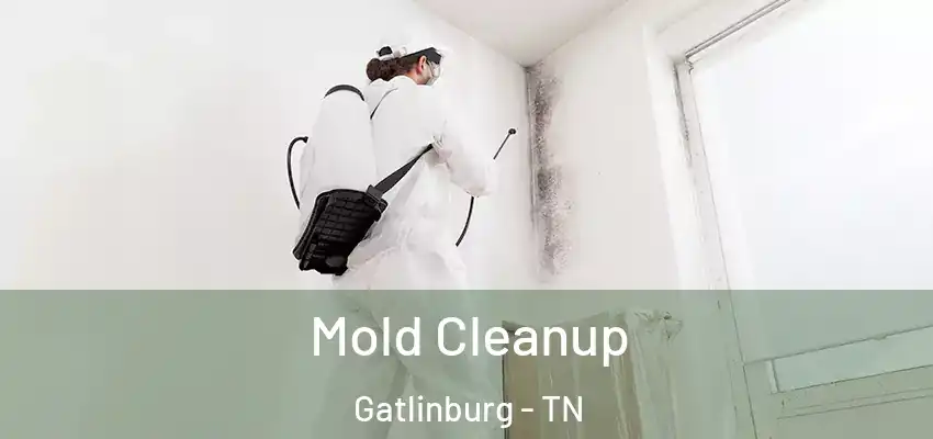 Mold Cleanup Gatlinburg - TN