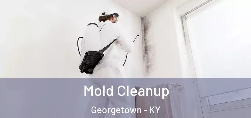 Mold Cleanup Georgetown - KY
