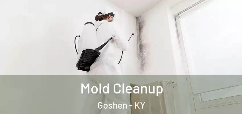  Mold Cleanup Goshen - KY