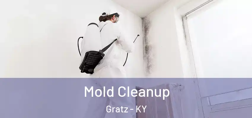 Mold Cleanup Gratz - KY