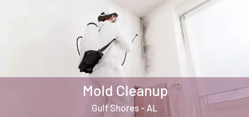  Mold Cleanup Gulf Shores - AL