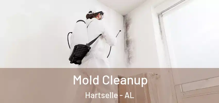 Mold Cleanup Hartselle - AL
