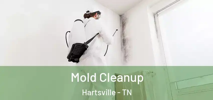 Mold Cleanup Hartsville - TN
