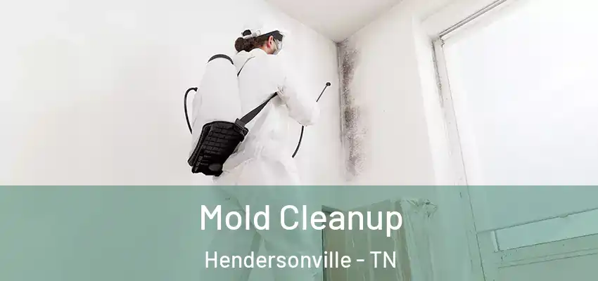  Mold Cleanup Hendersonville - TN