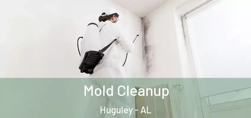  Mold Cleanup Huguley - AL
