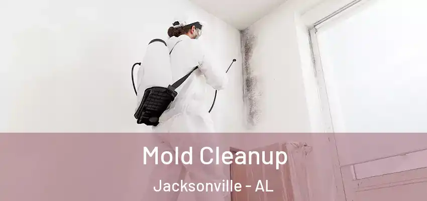  Mold Cleanup Jacksonville - AL