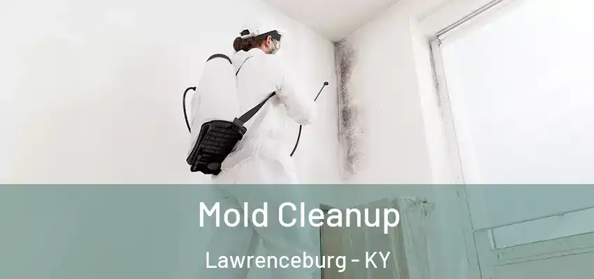 Mold Cleanup Lawrenceburg - KY