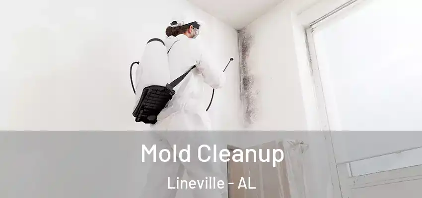 Mold Cleanup Lineville - AL