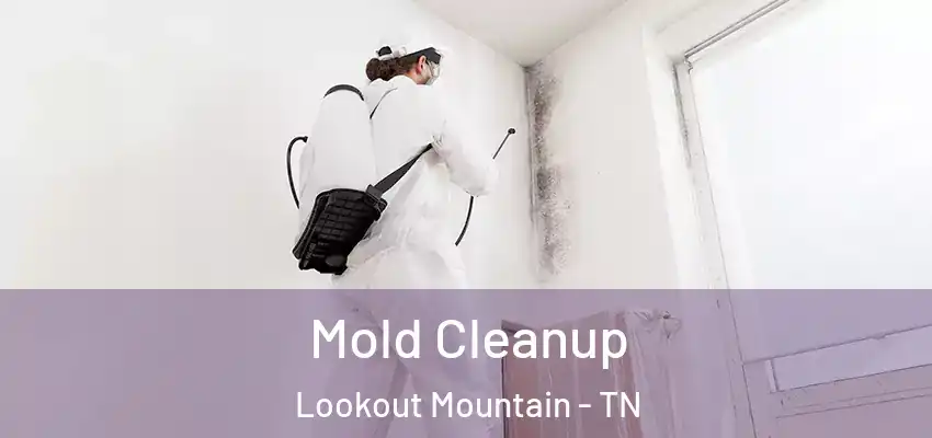  Mold Cleanup Lookout Mountain - TN