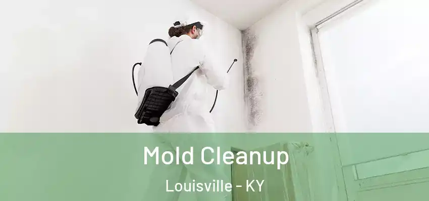  Mold Cleanup Louisville - KY
