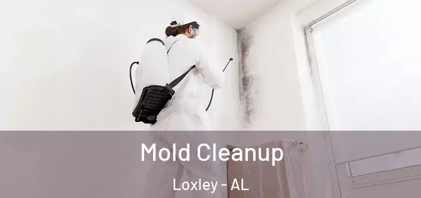  Mold Cleanup Loxley - AL
