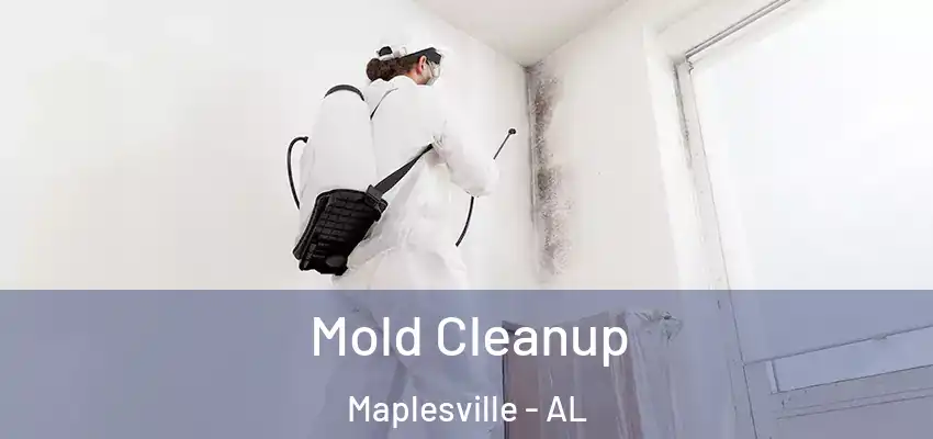  Mold Cleanup Maplesville - AL
