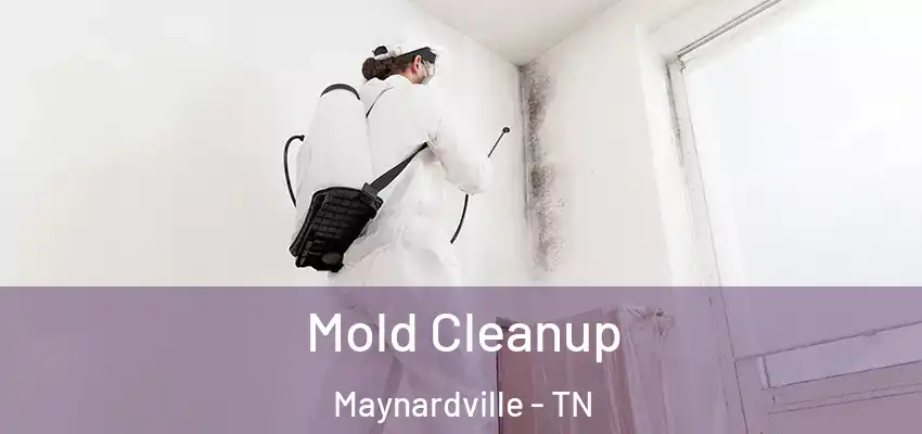  Mold Cleanup Maynardville - TN