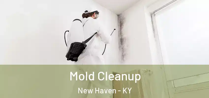 Mold Cleanup New Haven - KY