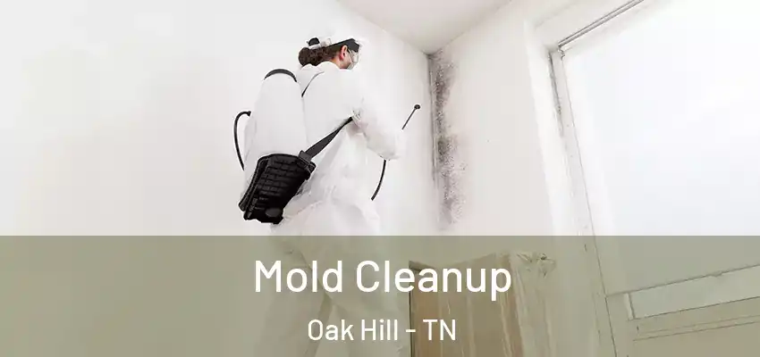  Mold Cleanup Oak Hill - TN