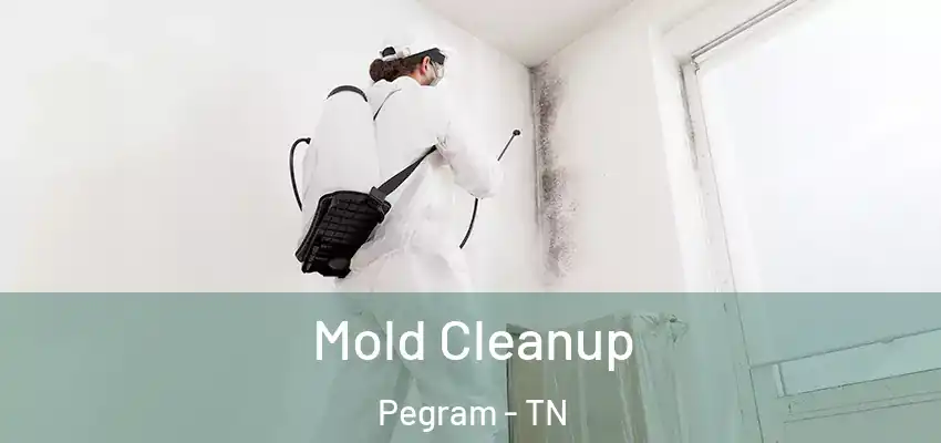  Mold Cleanup Pegram - TN