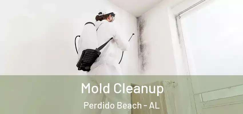 Mold Cleanup Perdido Beach - AL