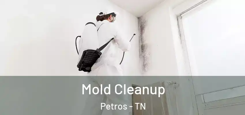  Mold Cleanup Petros - TN