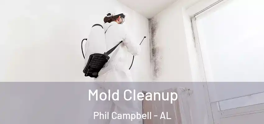  Mold Cleanup Phil Campbell - AL