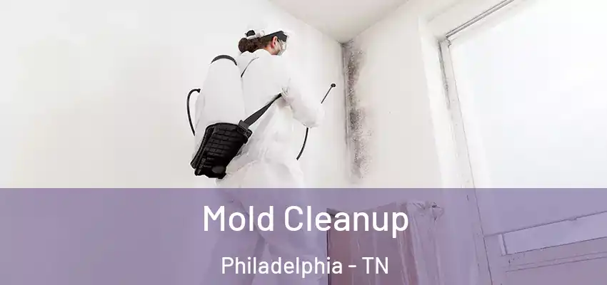  Mold Cleanup Philadelphia - TN