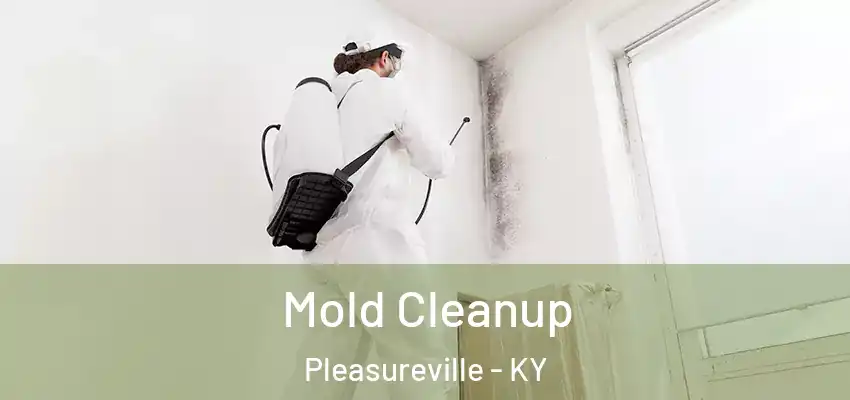  Mold Cleanup Pleasureville - KY