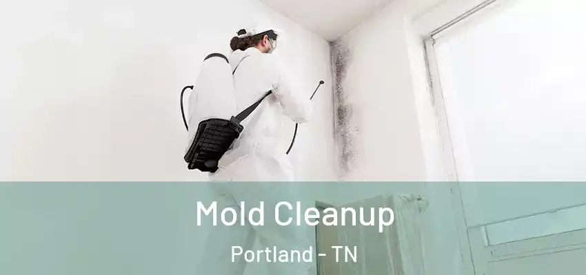  Mold Cleanup Portland - TN