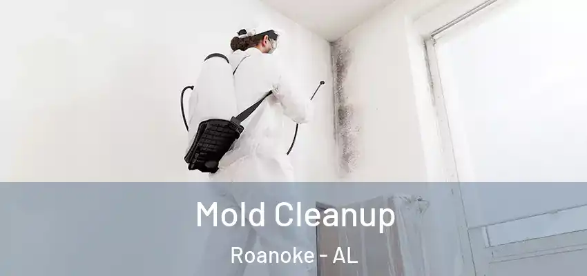  Mold Cleanup Roanoke - AL