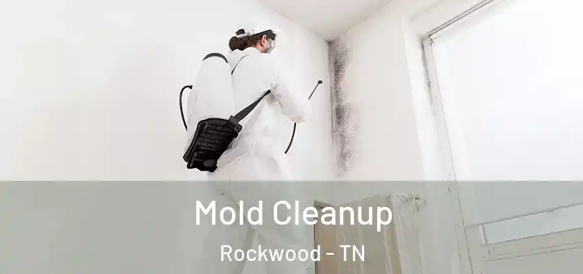  Mold Cleanup Rockwood - TN