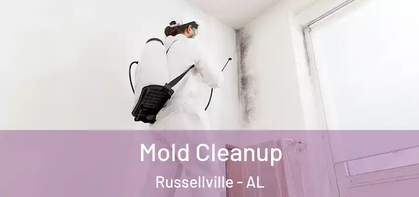  Mold Cleanup Russellville - AL