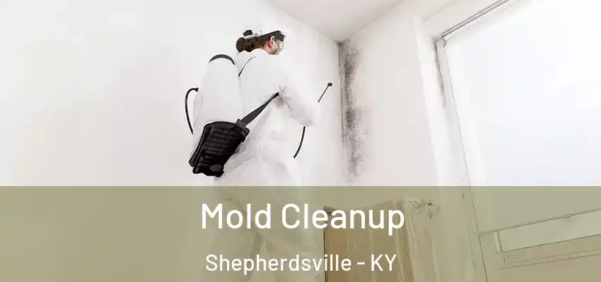  Mold Cleanup Shepherdsville - KY