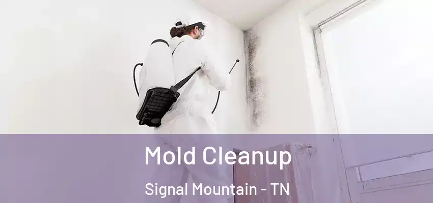  Mold Cleanup Signal Mountain - TN