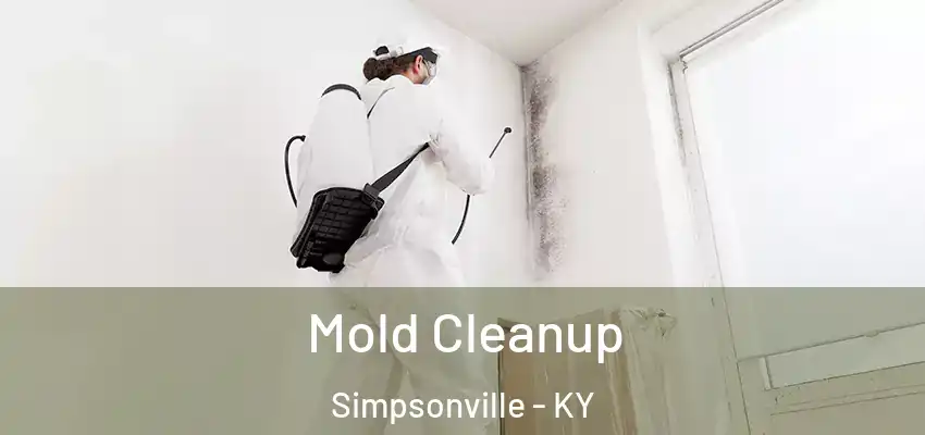  Mold Cleanup Simpsonville - KY