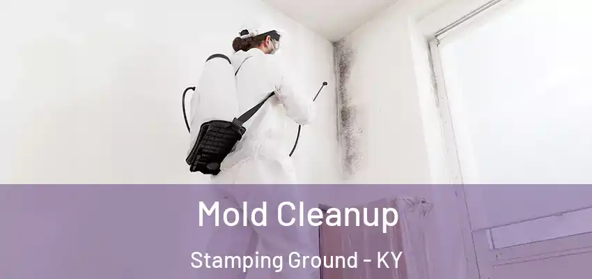  Mold Cleanup Stamping Ground - KY