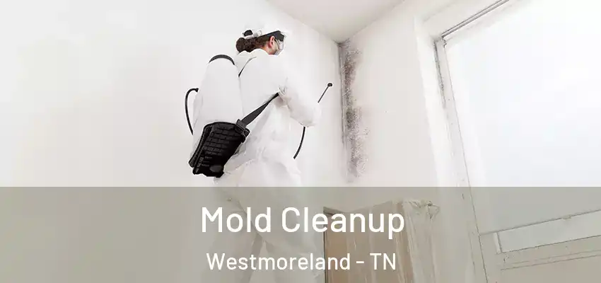  Mold Cleanup Westmoreland - TN