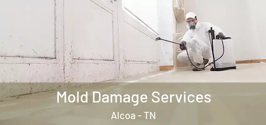 Mold Damage Services Alcoa - TN