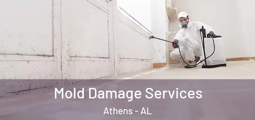 Mold Damage Services Athens - AL